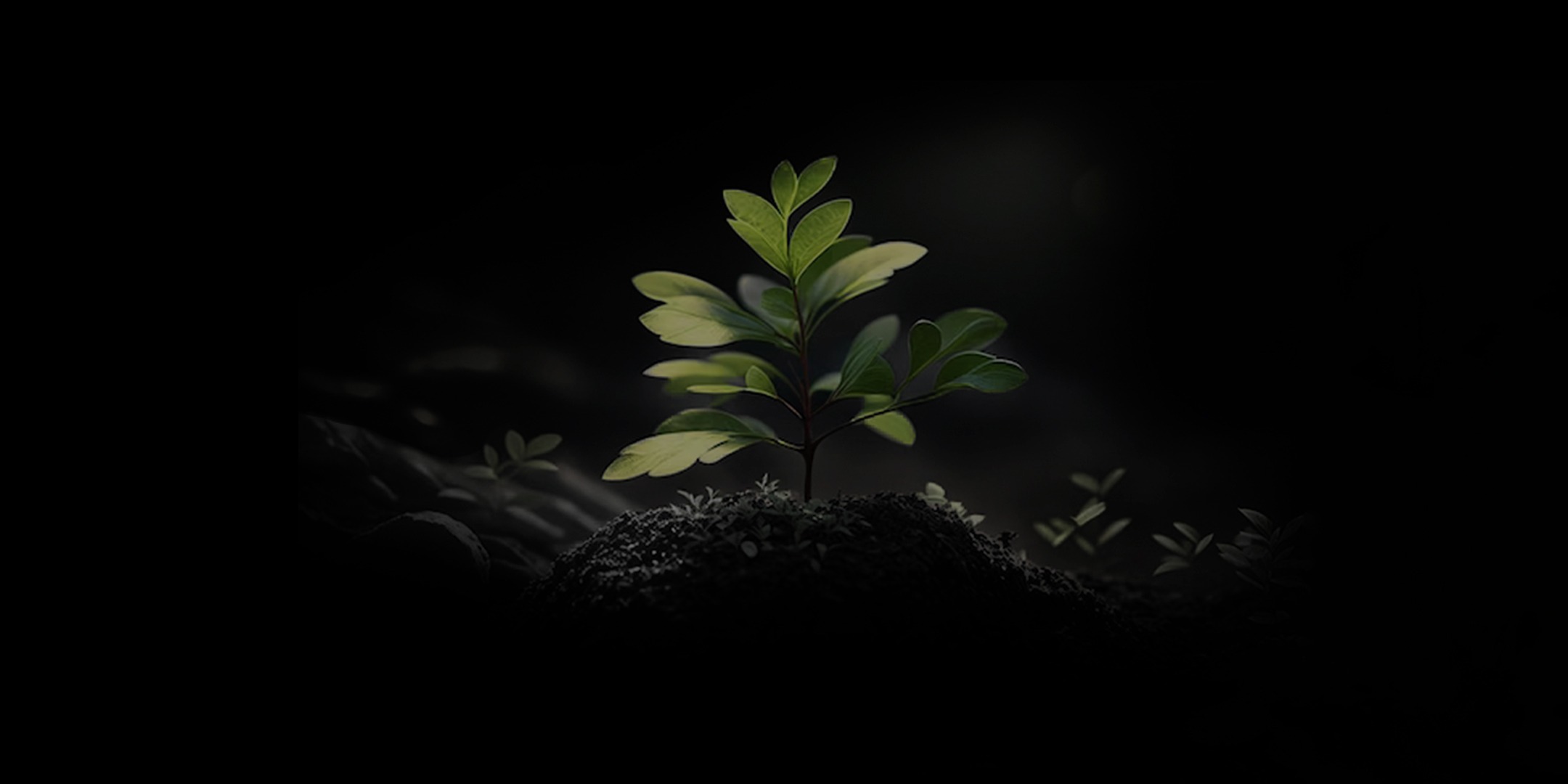 Green sustainability